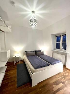 Zentrales City-Appartment